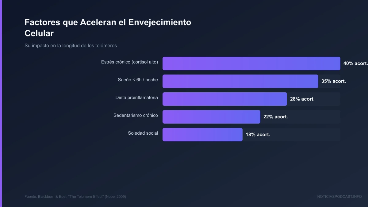 Infografía visual con conceptos clave de la lección en el podcast